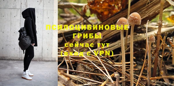 гашик Аркадак