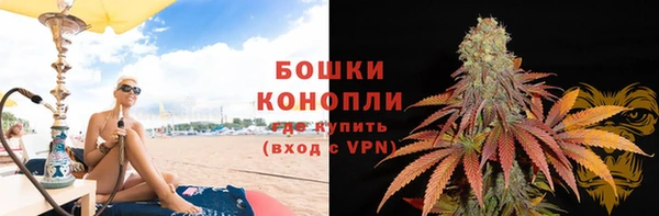 гашик Аркадак