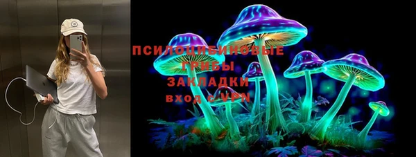 гашик Аркадак