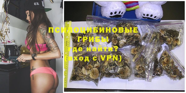 сатива Арсеньев