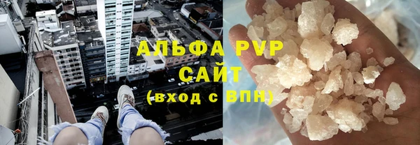 гашик Аркадак