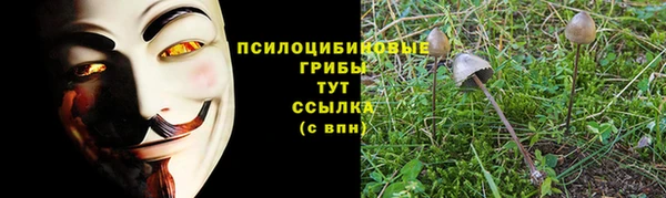 сатива Арсеньев